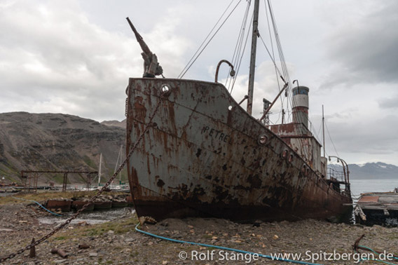 Grytviken: whaling ship Petrel