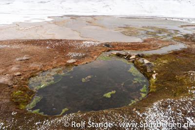 Geothermalgebiet: Trolljeldane im Bockfjord an der Nordküste von Spitzbergen