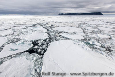 Drift ice, Barents Sea