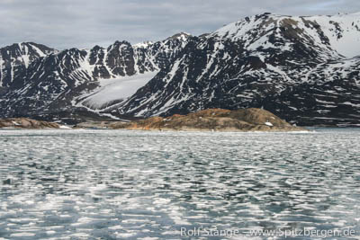 Fjord ice, Liefdefjord