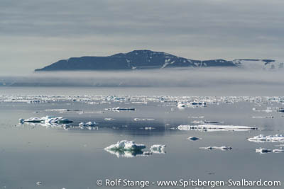 arctic drift ice