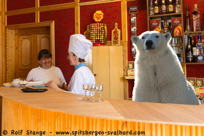 Eisbär im Hotel Tulipan in Pyramiden