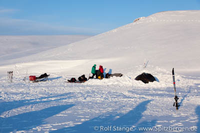 camp attacked by polar bear in Tempelfjord