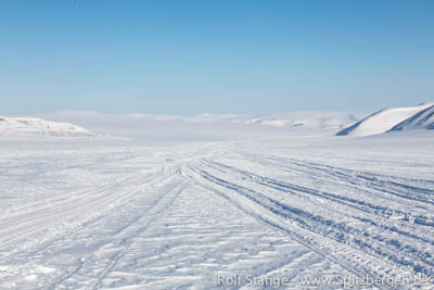 Königsbergbreen