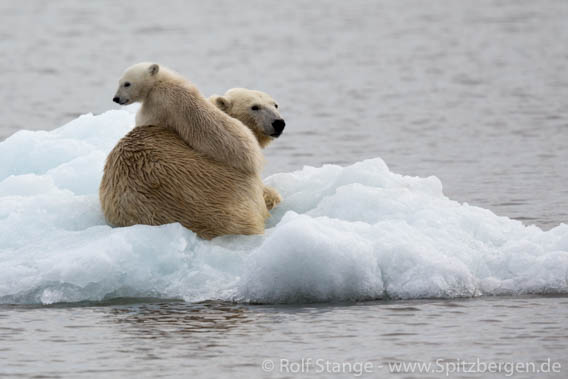 a7t_Storbreen_13Juli15_087