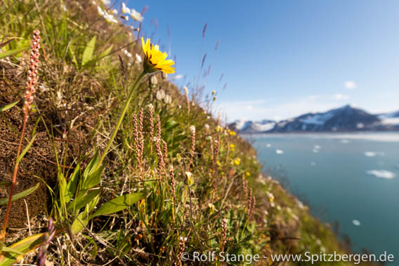 a8o_Ossian-Sarsfjellet_21Juli15_138