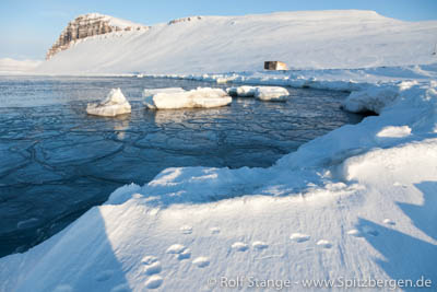 Tempelfjord at Fredheim