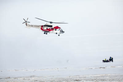 polar bear Longyearbyen