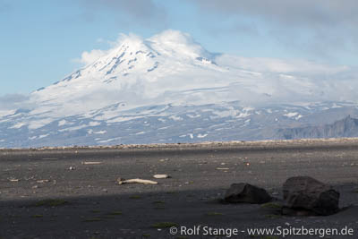 Jan Mayen 2016: Platz verfügbar