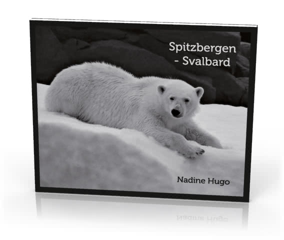 Spitsbergen Svalbard bw Photobook