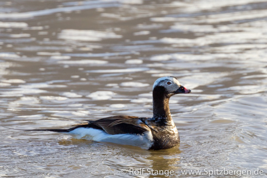 Eisenten