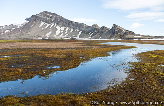 Sørkapp Land