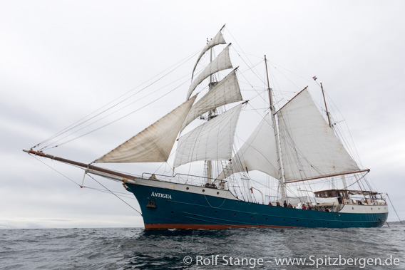 Antigua unter Segeln, Vestfjord