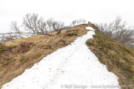 Snow fields, Stokmarknes, Vesterålen