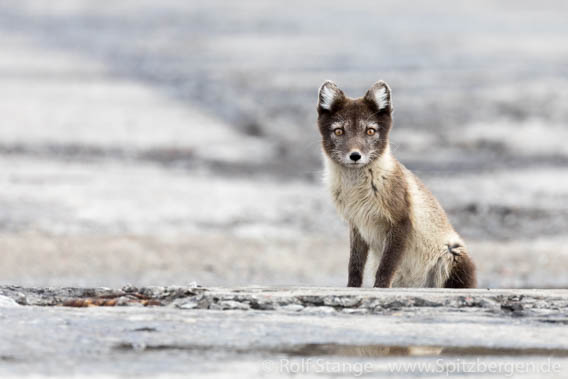 Barentsburg