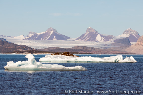 Kongsfjord