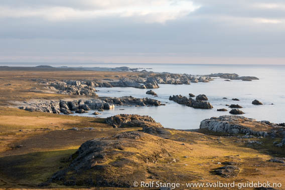 Steinpynten, Daudmannsøyra