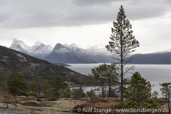 Tysfjord seen from Skarberget