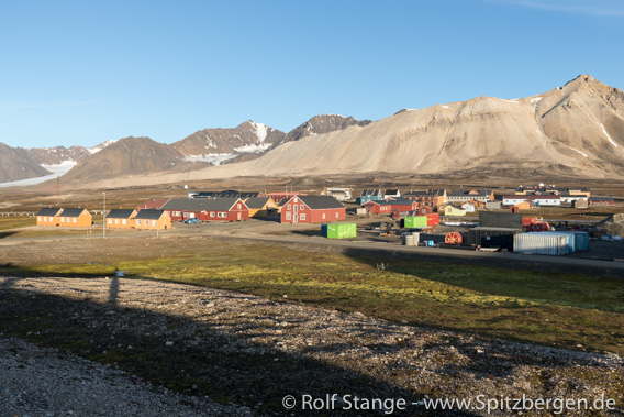 Ny-Ålesund: Resistenzgene in Bakterien nachgewiesen