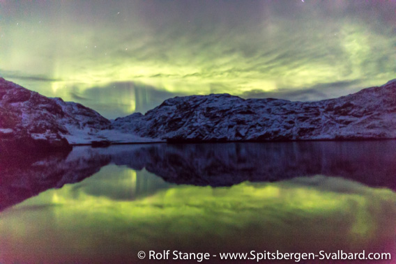 Northern light. Scoresbysund, East Greenland