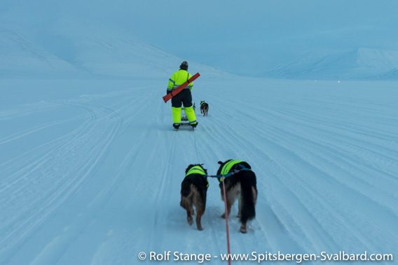 With ski and dogs in Adventdalen