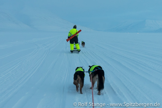 Mit Ski und Hund im Adventdalen