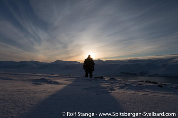 Arctic sun worshipper