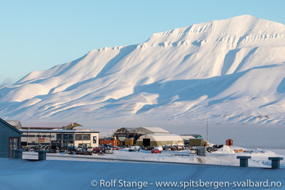 Svalbard Snøskuterutleie i solskinn