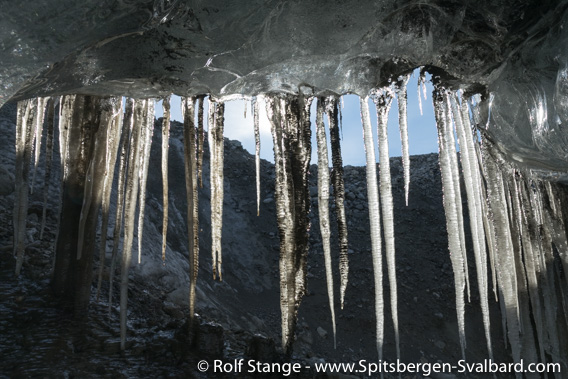 Iciclces in ice cave, Rabotbreen