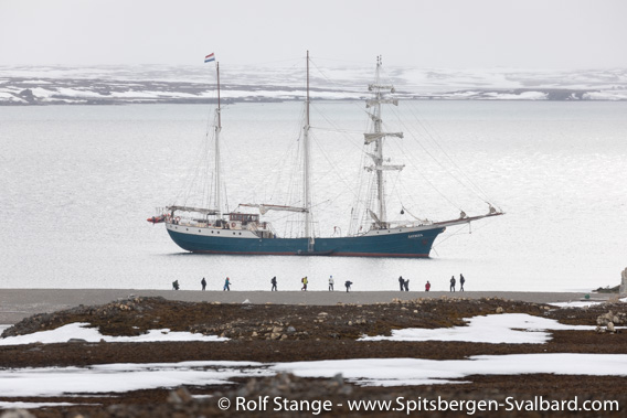 Arctic under Sail 2019 - triplogs, photos