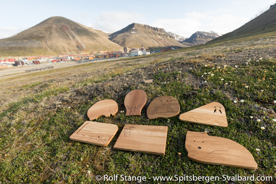 Spitsbergen kitchen slats