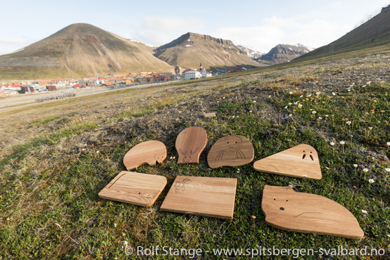 Svalbard skjærefjøl