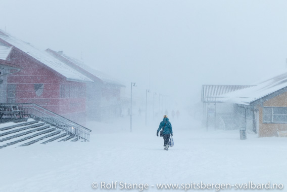 Lokalstyrvalg Longyearbyen