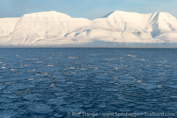 Ice, Adventfjord