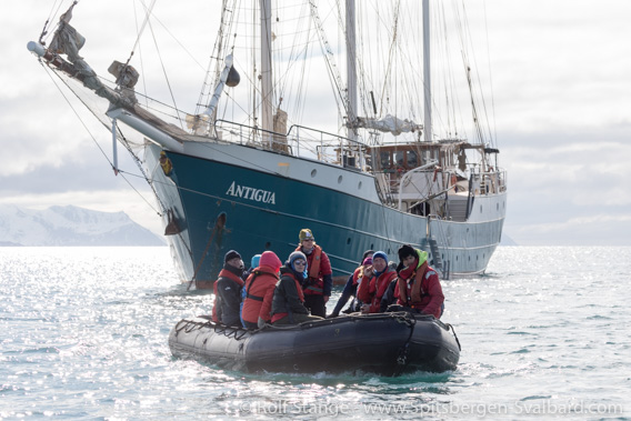 Corona-Virus, Spitsbergen