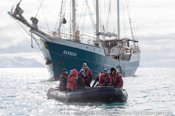 Corona-Virus, Spitzbergen