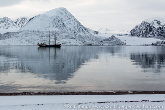 Corona-Virus, Spitsbergen