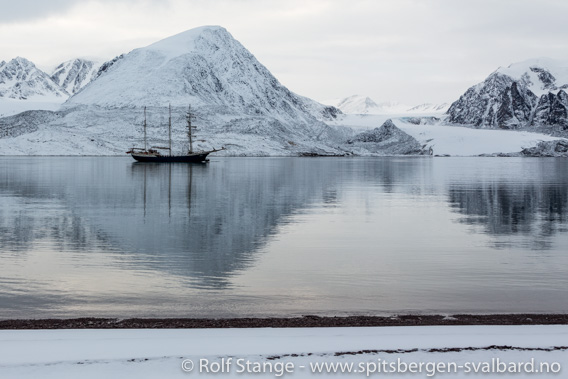 Korona-viruset, Svalbard