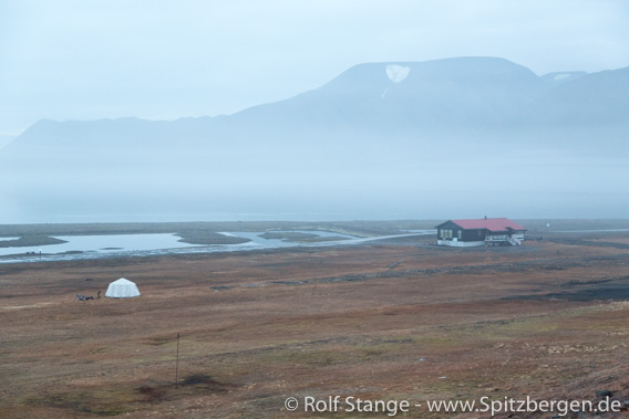 Mann von Eisbär beim Longyearbyen Campingplatz getötet