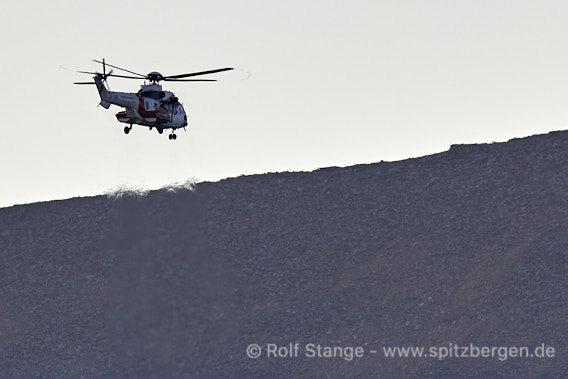 Eisbären bei Longyearbyen: Hubschrauber