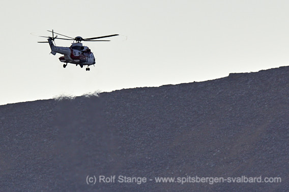 Polar bears near Longyearbyen: helicopter