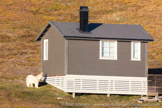 Shopping Lompensenter Longyearbyen