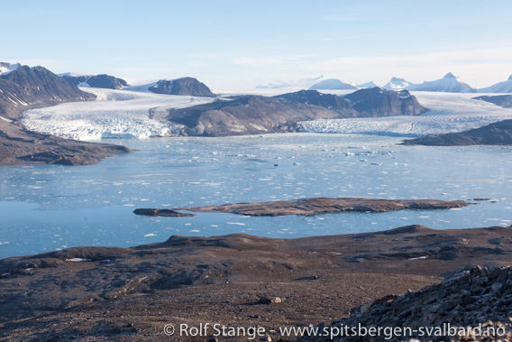 Utsikt Kongsfjorden