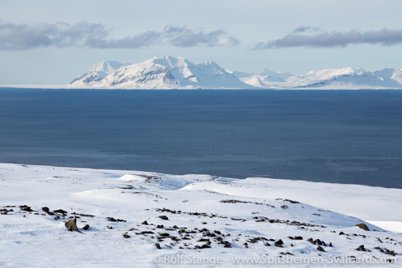 Outer Isfjord