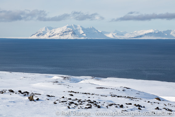 Sentral Isfjord