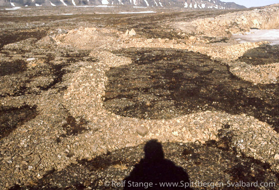 Stone rings, Kapp Linné