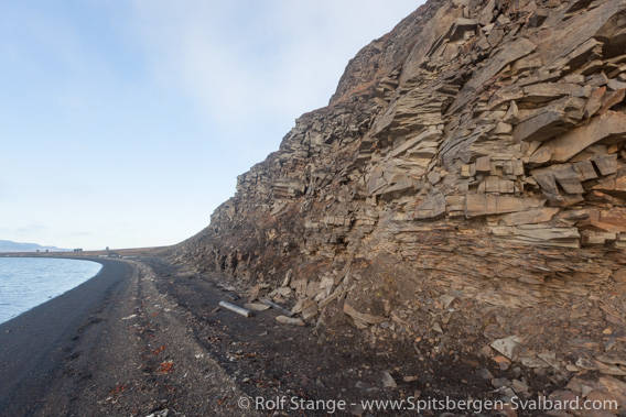 Sediment layers, lower Tertiary, Finneset