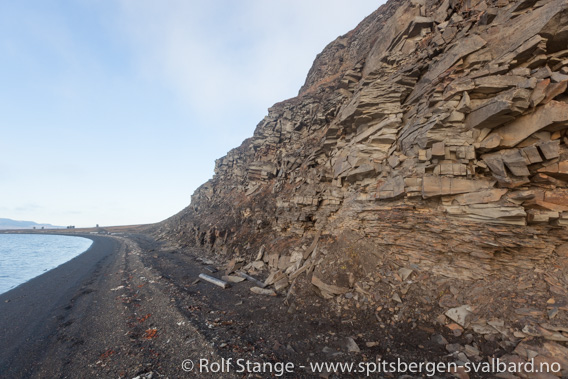 Sedimentlag, tertiær, Finneset