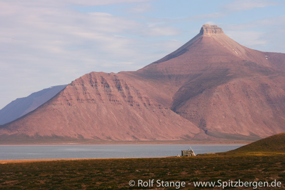 Old Red, Dicksonfjord