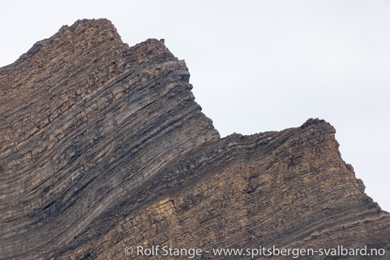 Geologi i Grønfjorden